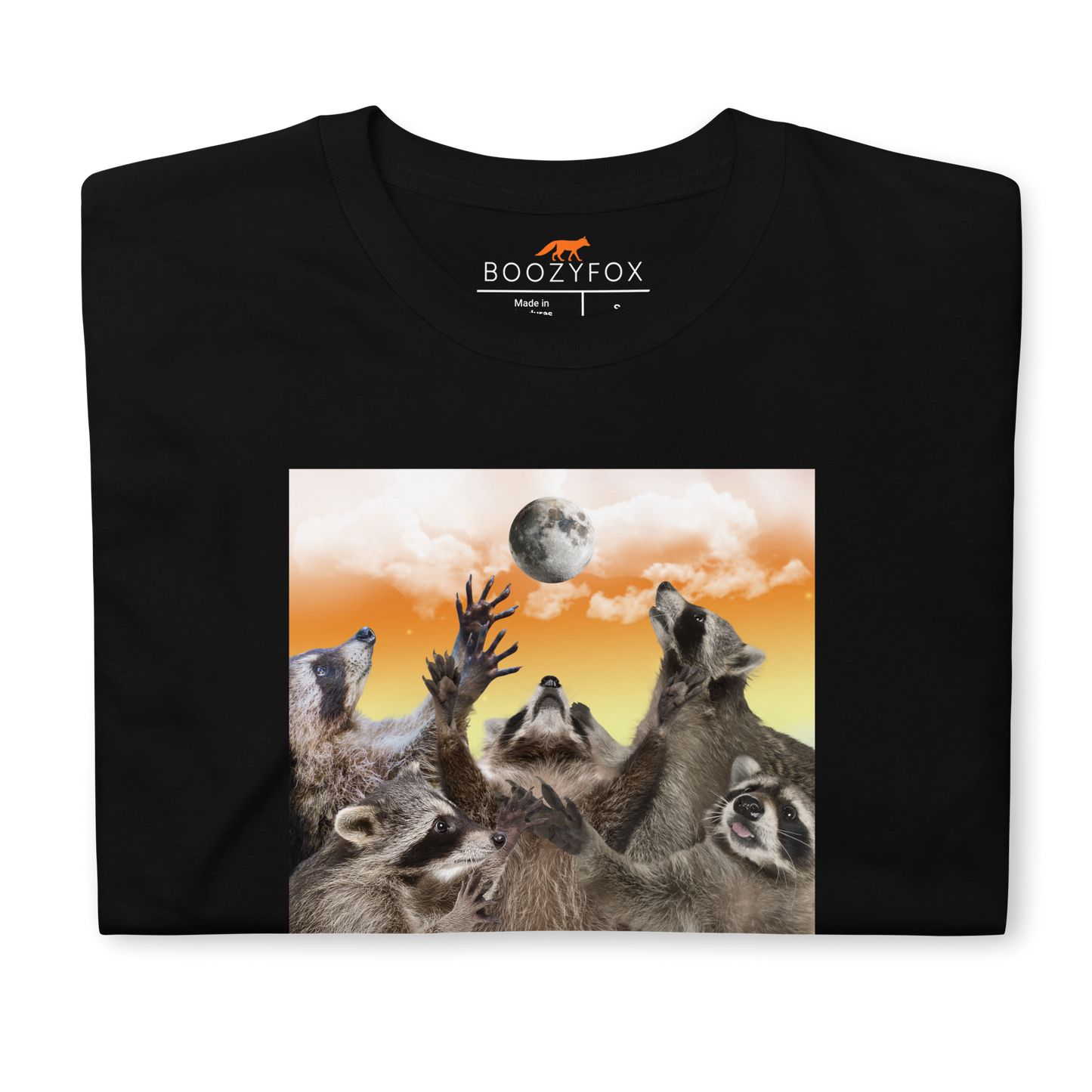 Front details of a Funny In My Feral Era Raccoon graphic t-shirt in black by Boozy Fox