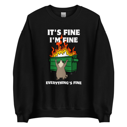 Funny Dumpster Fire Raccoon graphic sweatshirt in black by Boozy Fox