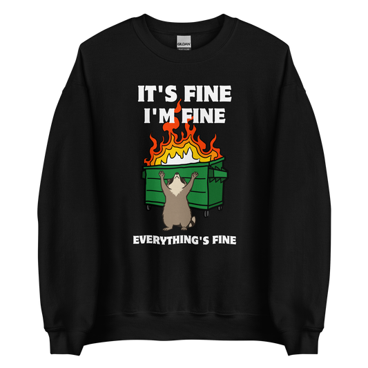 Funny Dumpster Fire Raccoon graphic sweatshirt in black by Boozy Fox