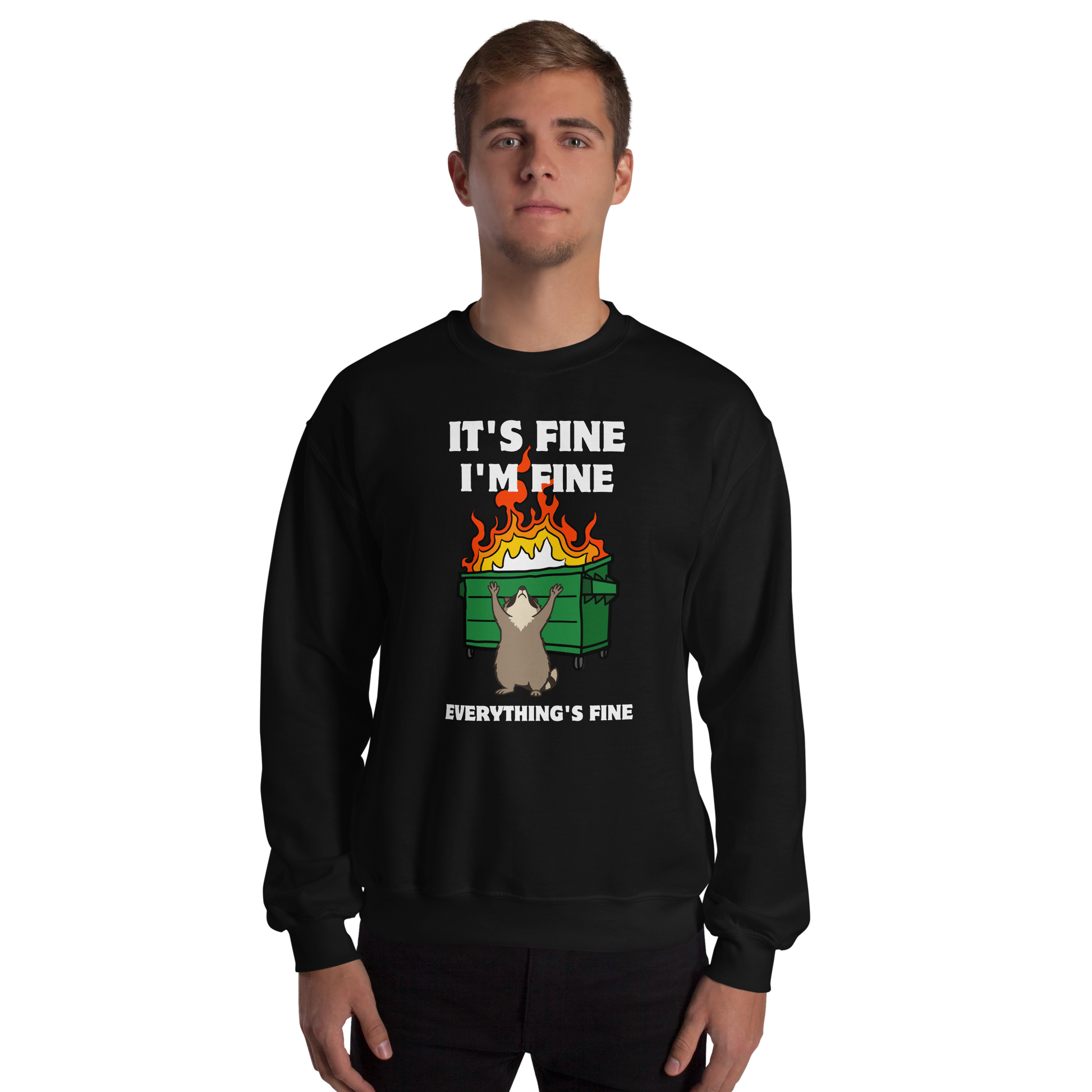 Man wearing a Funny Dumpster Fire Raccoon graphic sweatshirt in black by Boozy Fox