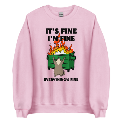 Funny Dumpster Fire Raccoon graphic sweatshirt in light pink by Boozy Fox