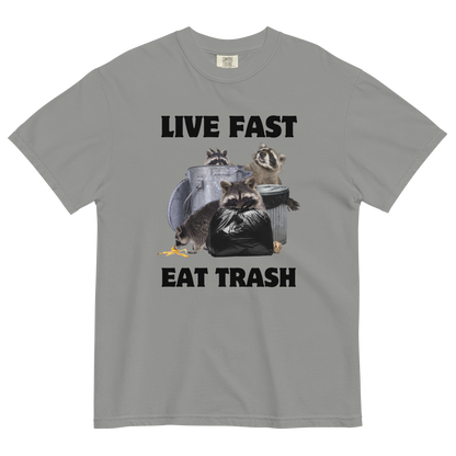 Live Fast, Eat Trash Raccoon Heavyweight T-Shirt Online - Grey - Boozy Fox