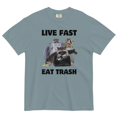 Live Fast, Eat Trash Raccoon Heavyweight T-Shirt Online - Ice Blue - Boozy Fox