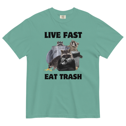 Live Fast, Eat Trash Raccoon Heavyweight T-Shirt Online - Seafoam - Boozy Fox