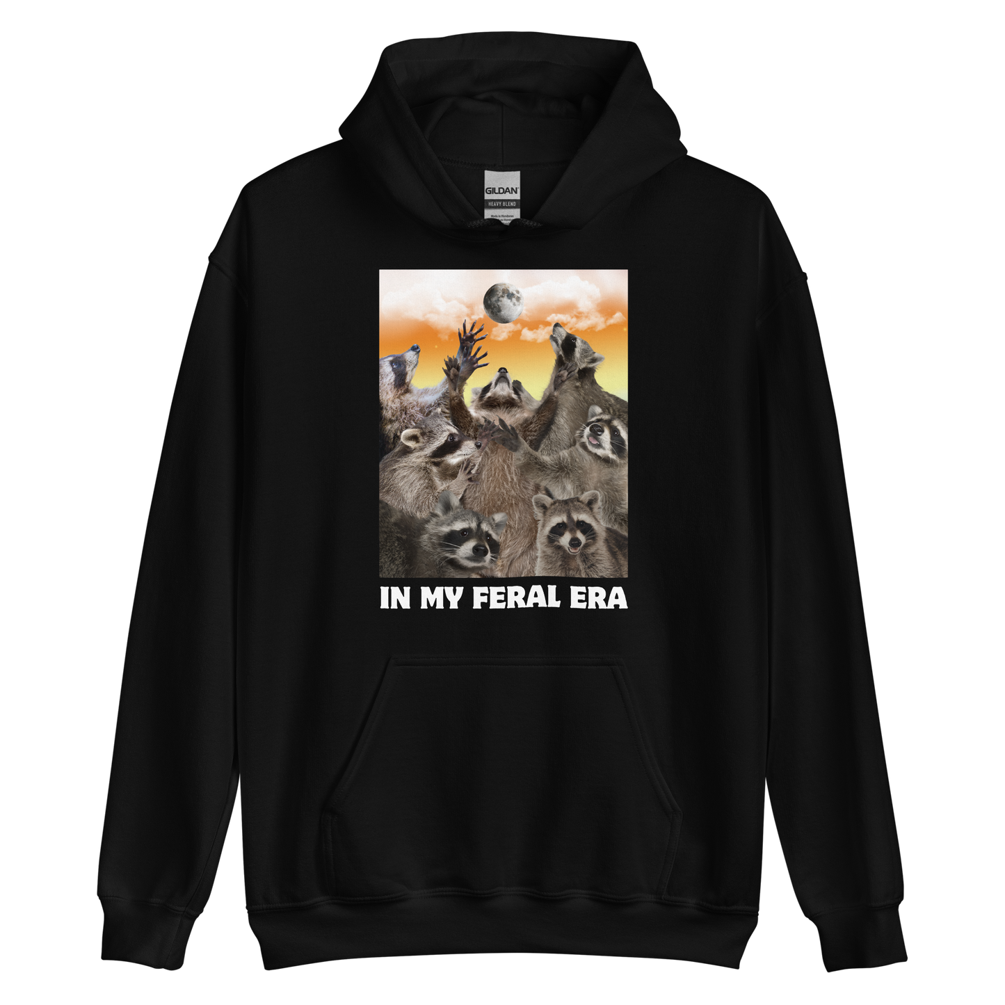 Funny In My Feral Era Raccoon graphic hoodie in black by Boozy Fox