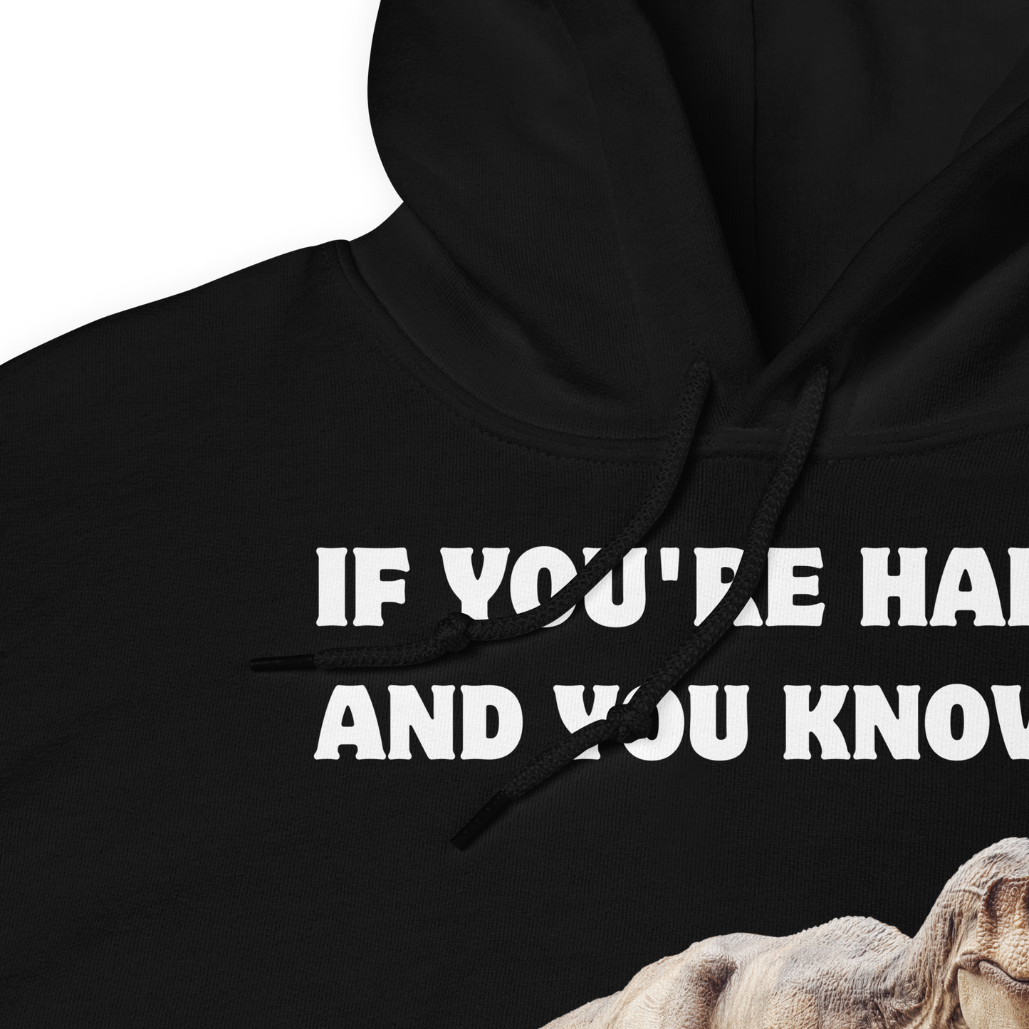 Front details of a Funny Tyrannosaurus Rex If You're Happy And You Know It Clap Your Oh... Dinosaur graphic hoodie in black by Boozy Fox