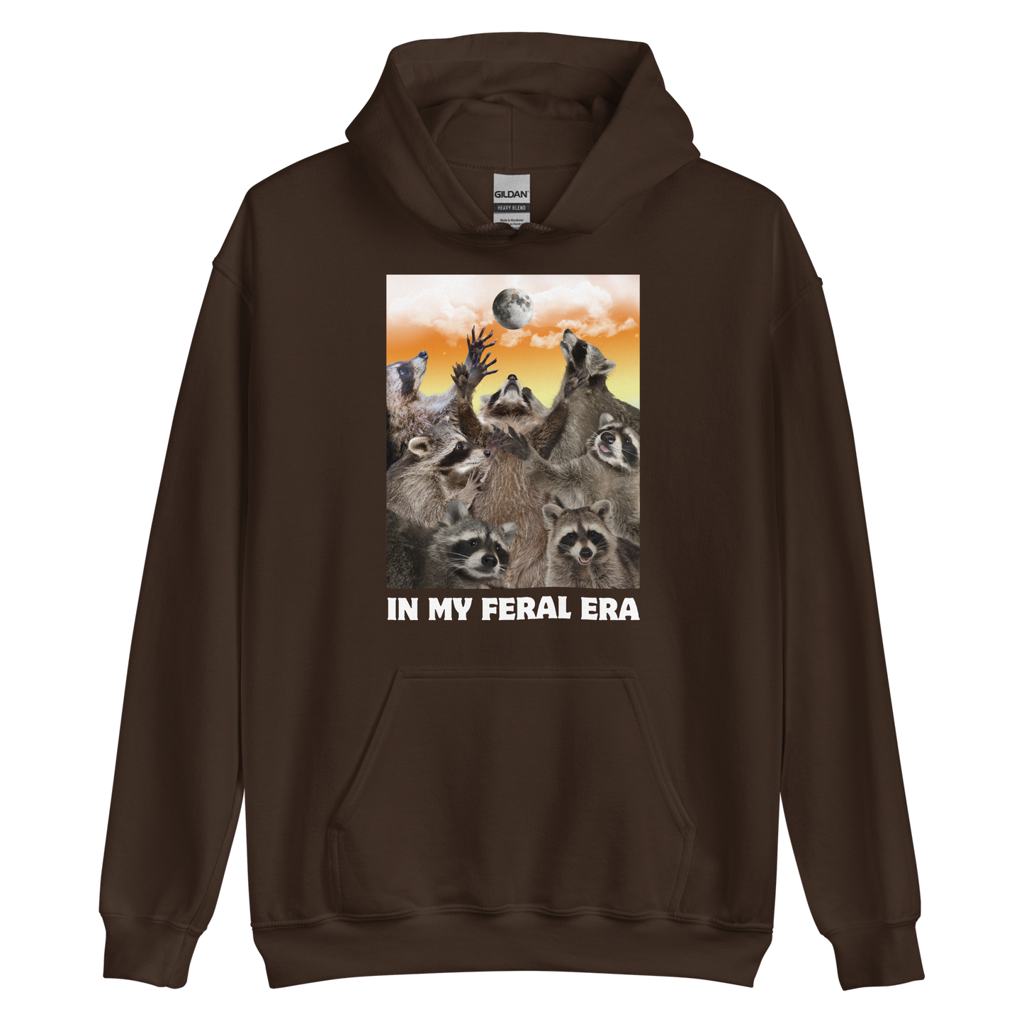 Funny In My Feral Era Raccoon graphic hoodie in dark chocolate brown by Boozy Fox