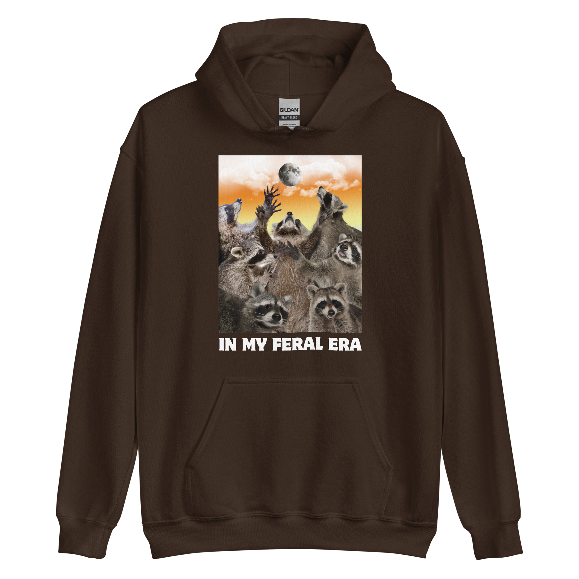 Funny In My Feral Era Raccoon graphic hoodie in dark chocolate brown by Boozy Fox