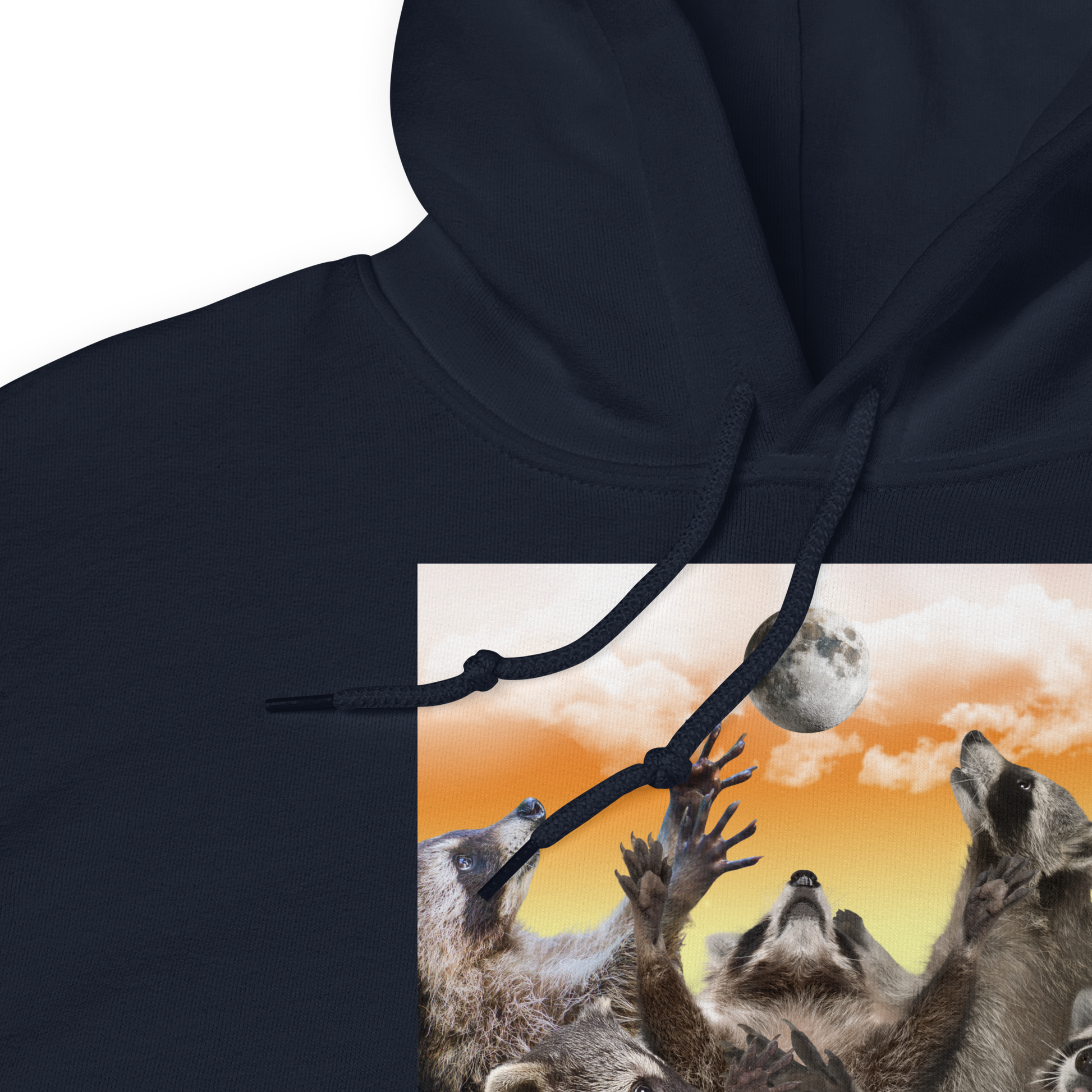 Front details of a Funny In My Feral Era Raccoon graphic hoodie in navy by Boozy Fox