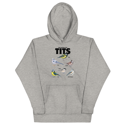 Funny Stop Staring At My Tits Bird premium graphic hoodie in carbon grey by Boozy Fox