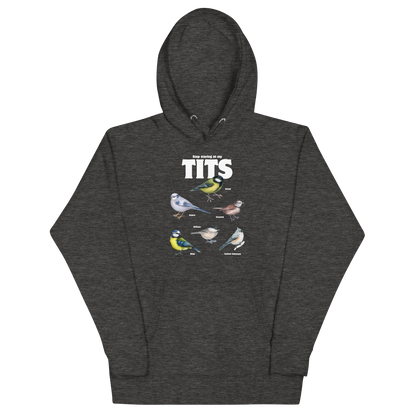 Funny Stop Staring At My Tits Bird premium graphic hoodie in charcoal heather by Boozy Fox