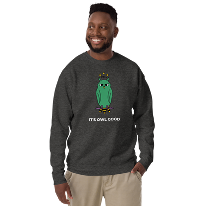 Smiling man wearing a Charcoal Heather Premium Owl Sweatshirt featuring a hootin' cool It's Owl Good graphic on the chest - Funny Graphic Owl Sweatshirts - Boozy Fox