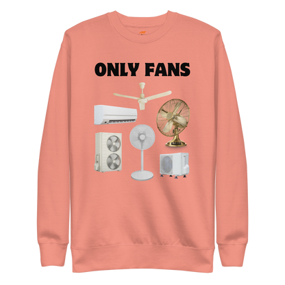 Only Fans Graphic Premium Sweatshirt Online - Dusty Rose - Boozy Fox