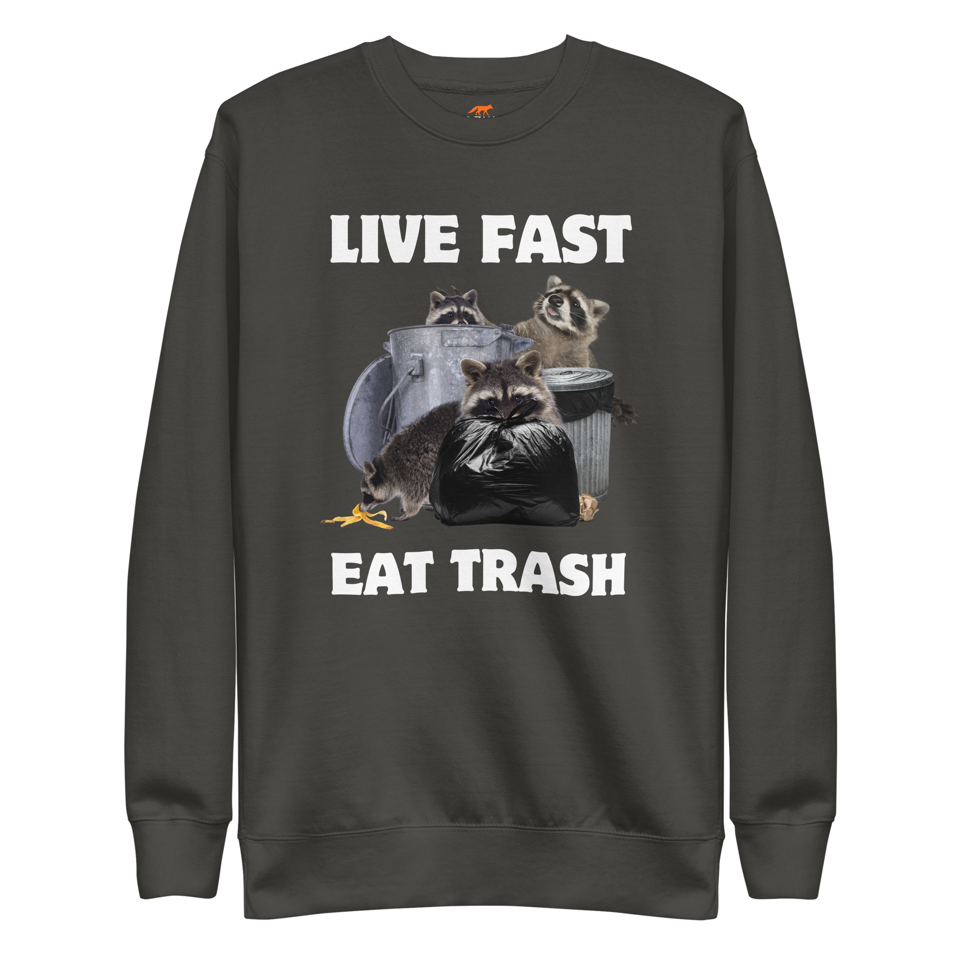 Live Fast, Eat Trash Raccoon Graphic Premium Sweatshirt Online - Vintage Black - Boozy Fox