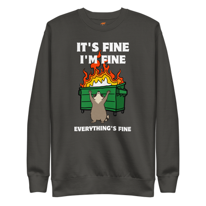 Funny Dumpster Fire Raccoon premium graphic sweatshirt in vintage black by Boozy Fox