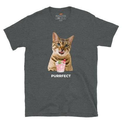 Dark Heather Cat T-Shirt featuring a Purrfect graphic on the chest - Funny Graphic Cat T-Shirts - Boozy Fox